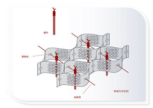 规格全的蜂巢土工格室生产厂家