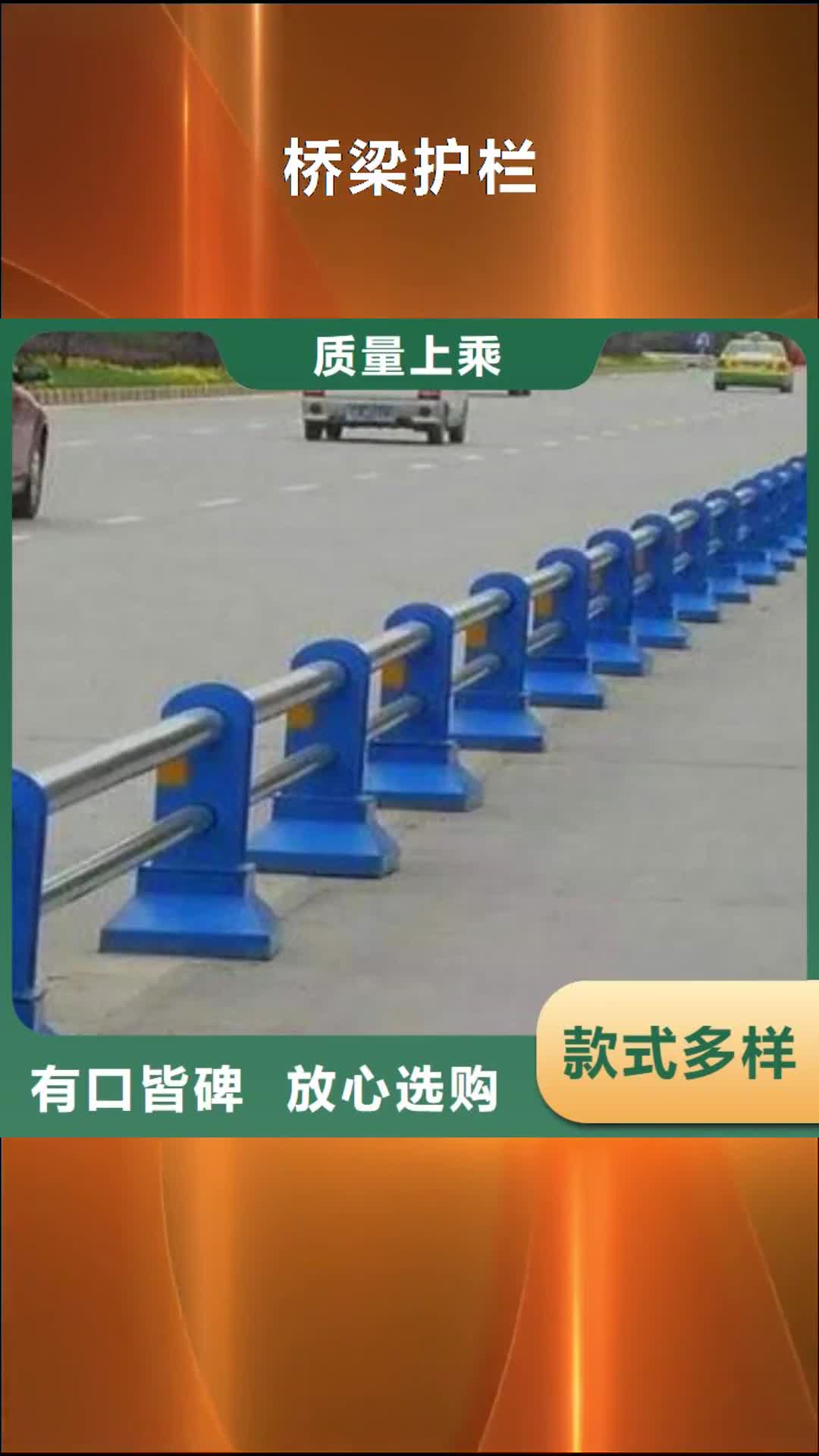潍坊【桥梁护栏】,碳素钢喷塑护栏质量安心