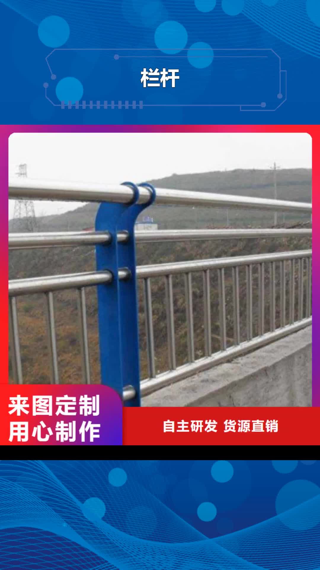 汕头 栏杆_【碳素钢喷塑护栏】定制零售批发