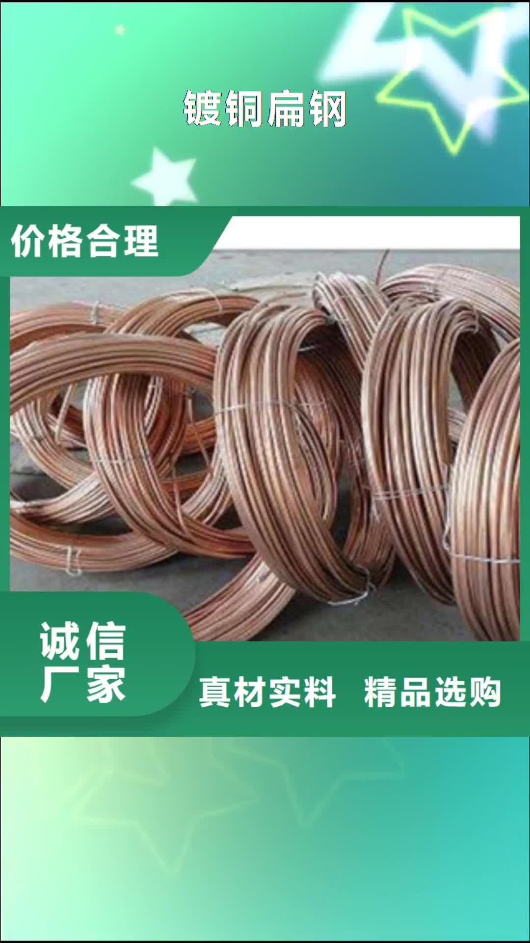 【宿迁 镀铜扁钢-（热镀锌）合金H型钢厂家】