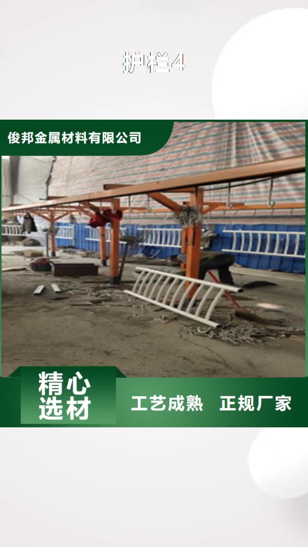 珠海 护栏4-【桥梁护栏】源头厂家经验丰富