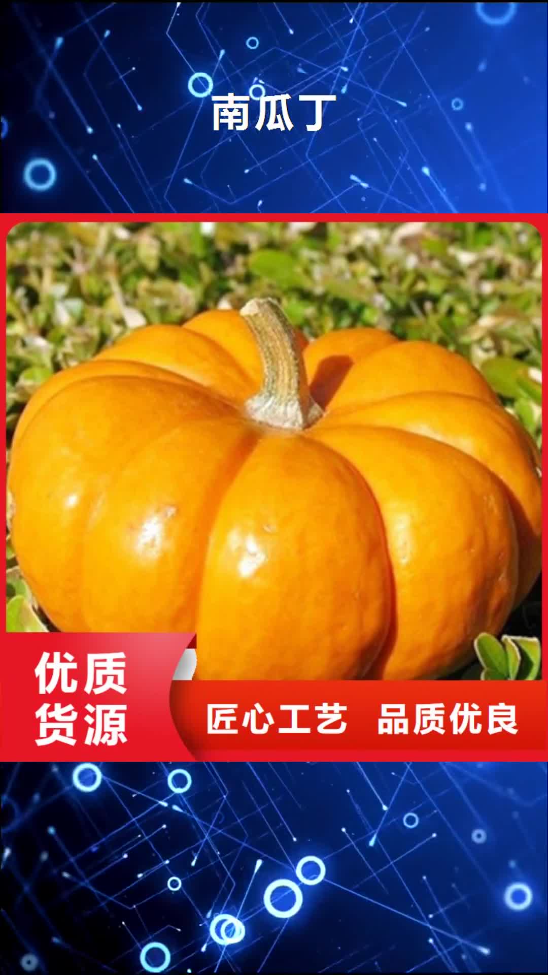 孝感 南瓜丁为您精心挑选