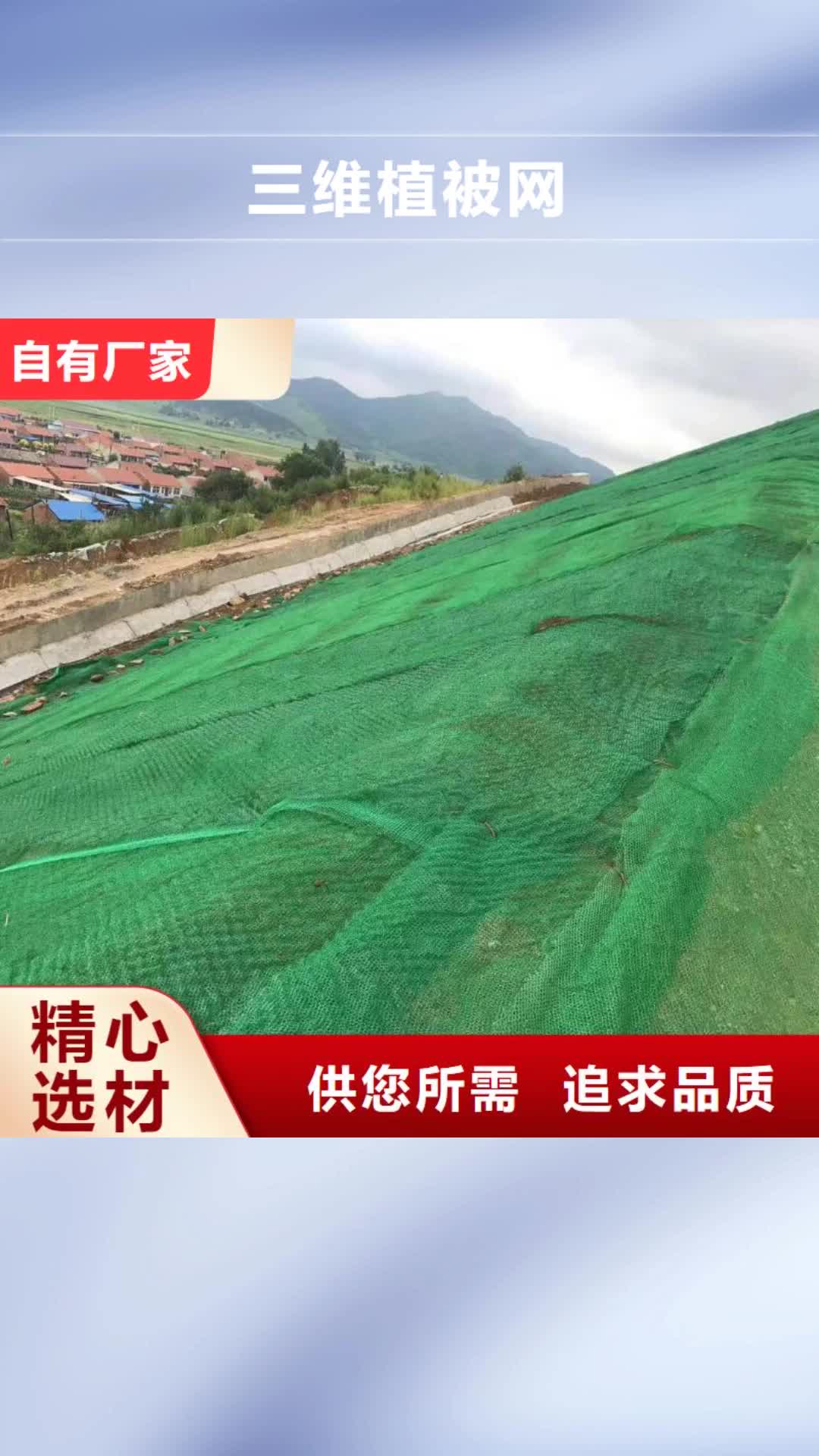 河池 三维植被网-【三维土工网垫】厂家货源