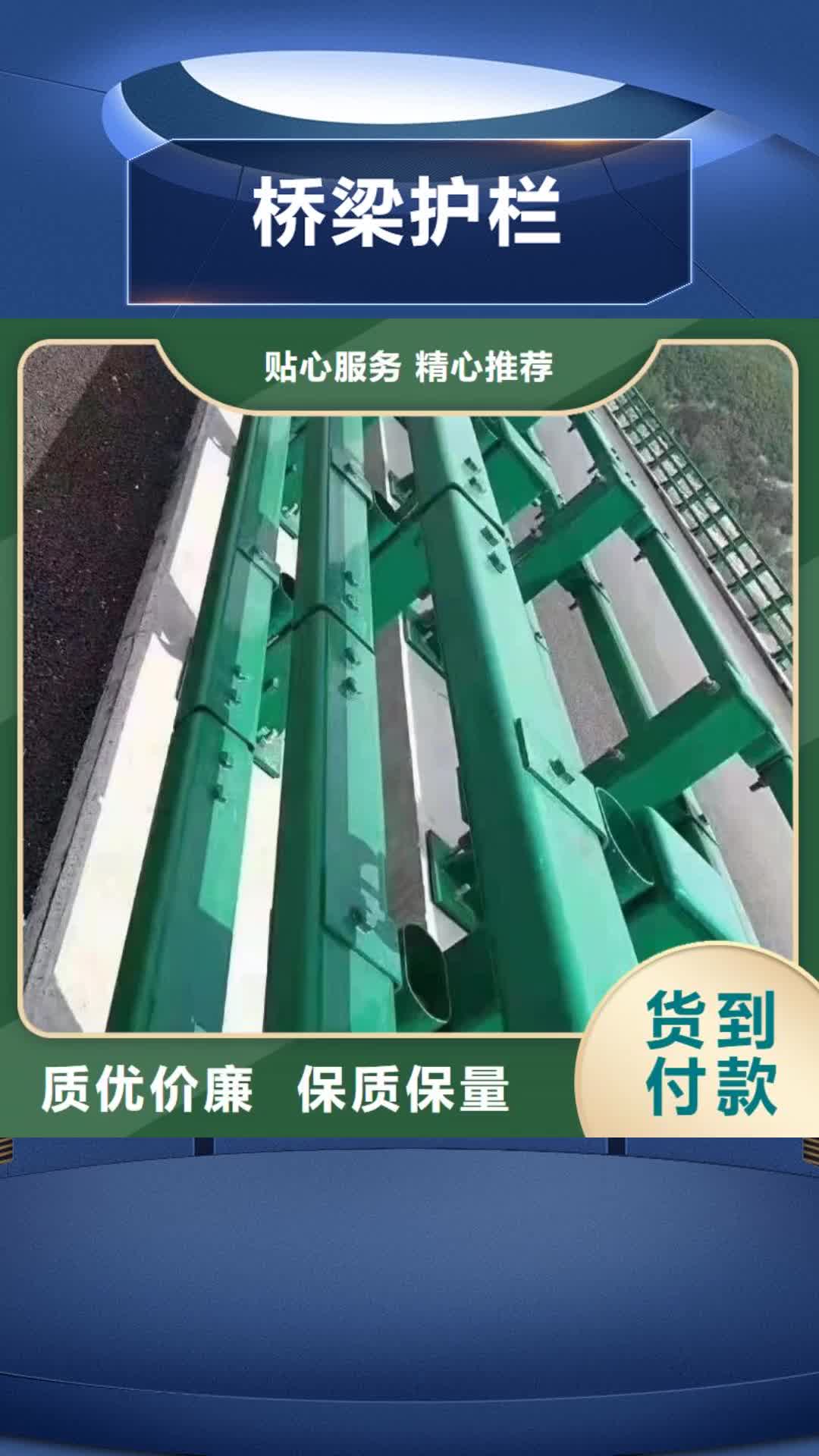 宜宾 桥梁护栏,【桥梁防撞护栏】实力雄厚品质保障