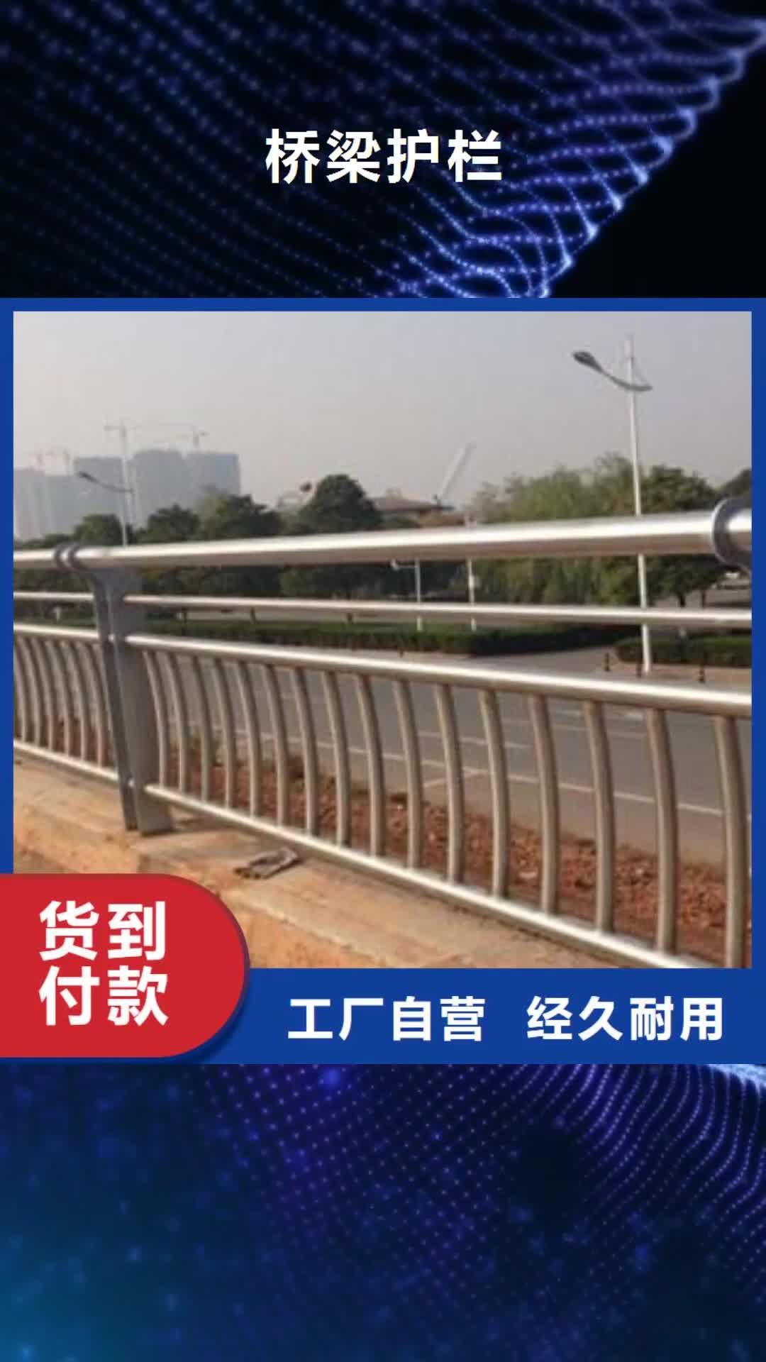 【丹东 桥梁护栏-天桥护栏厂家直接面向客户】