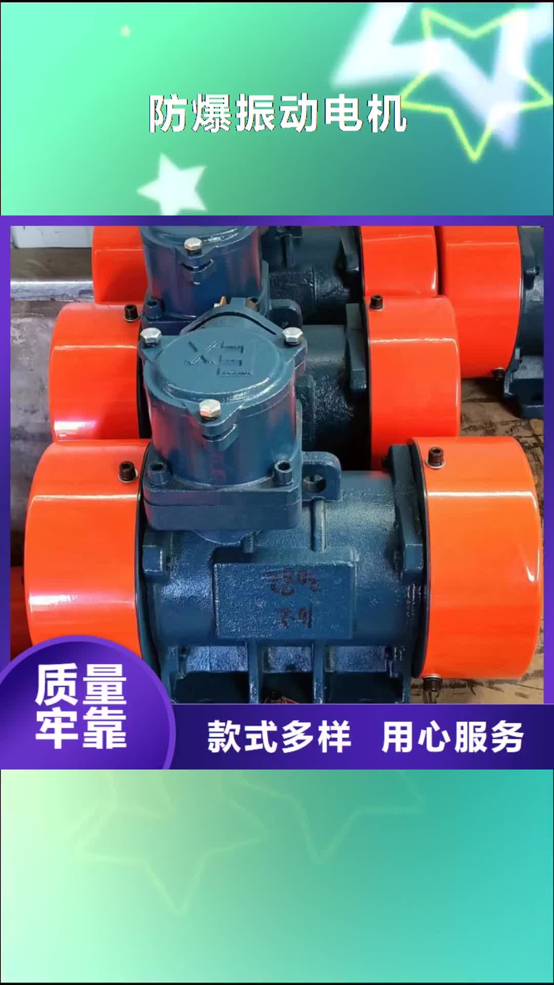 吉林【防爆振动电机】,混凝土振动台支持货到付清