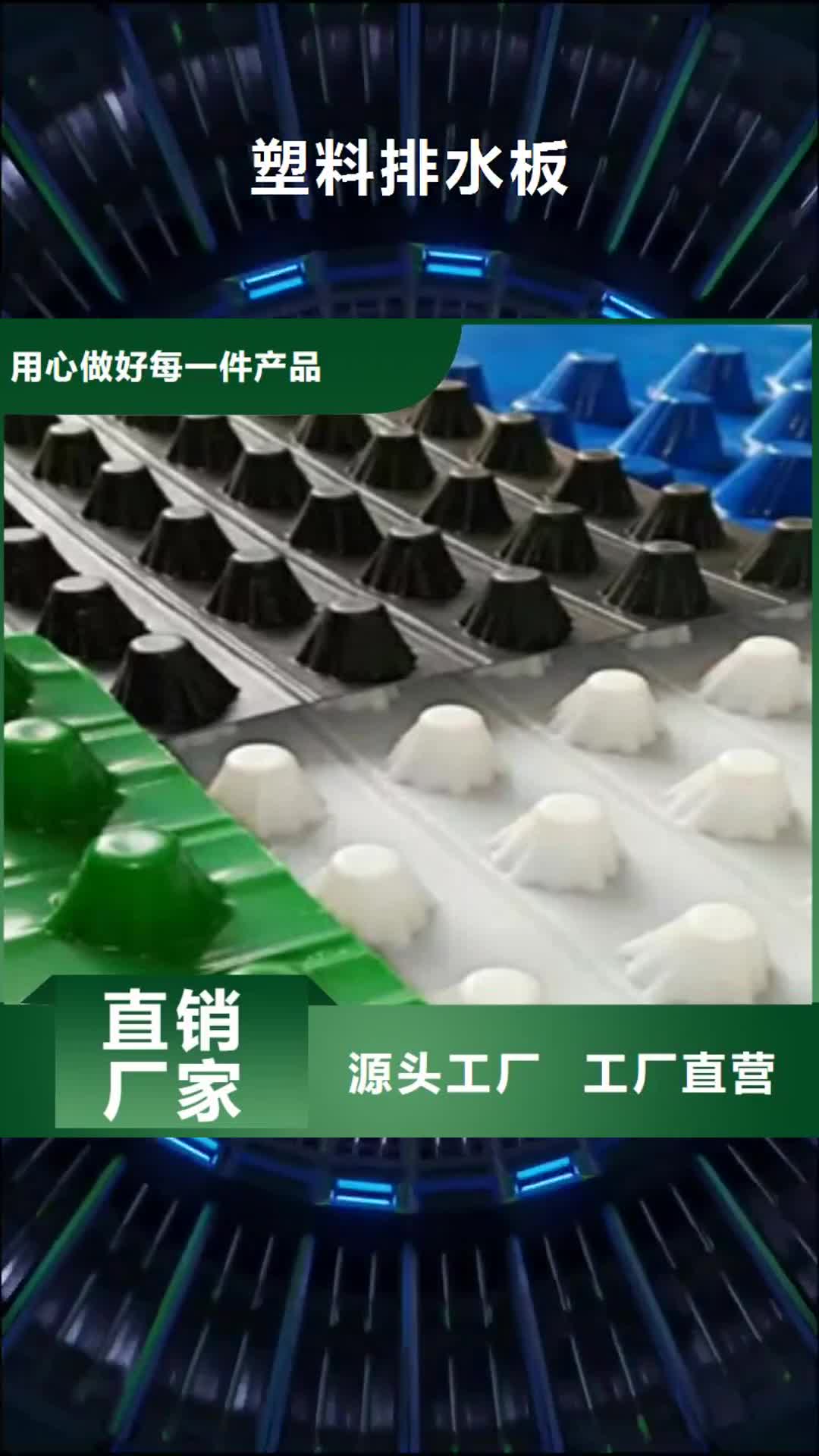 张家界【塑料排水板】-钢塑土工格栅严选材质