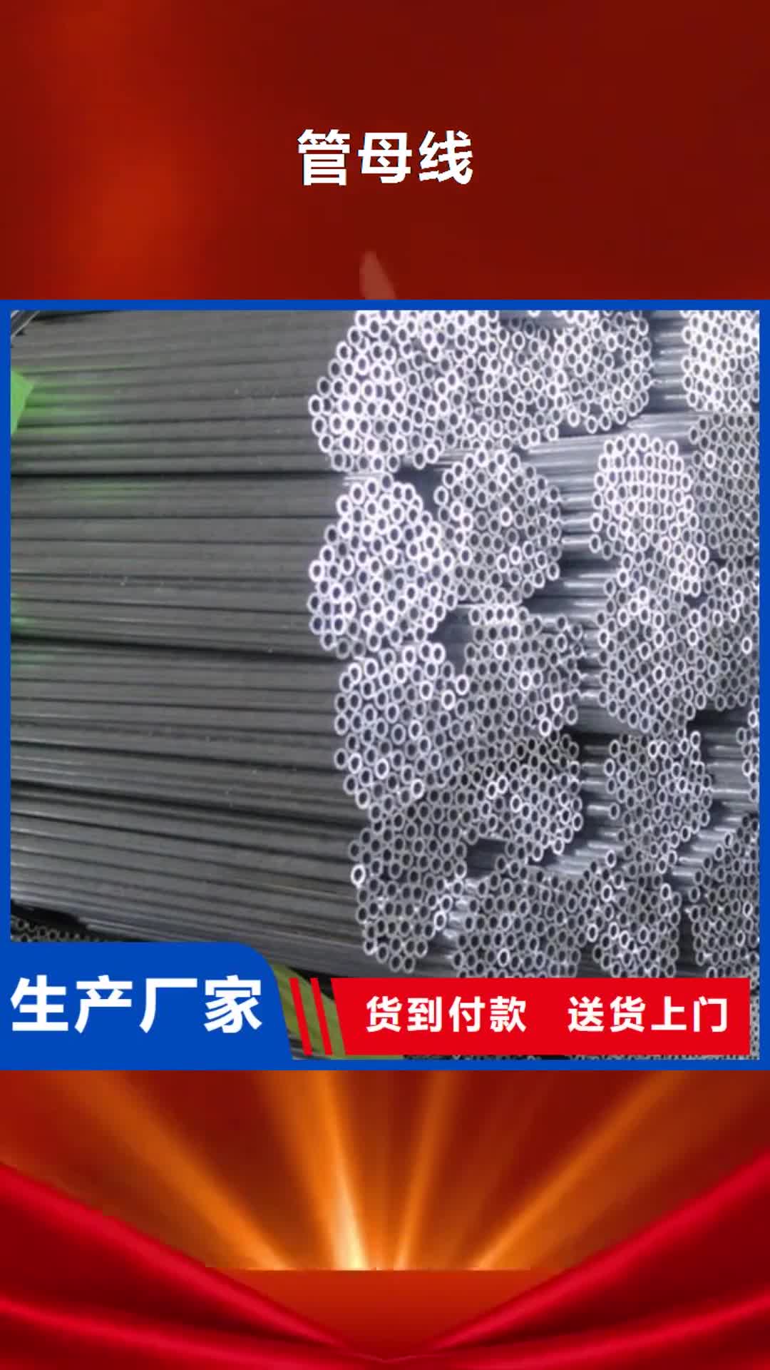 【威海 管母线-镀锡铜绞线实地大厂】
