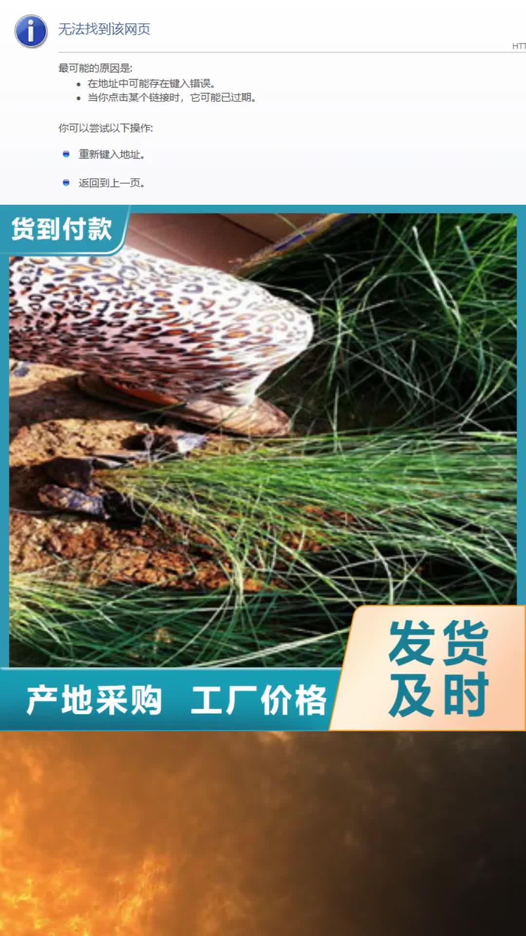 【曲靖 时令草花,水生植物/荷花睡莲经久耐用】
