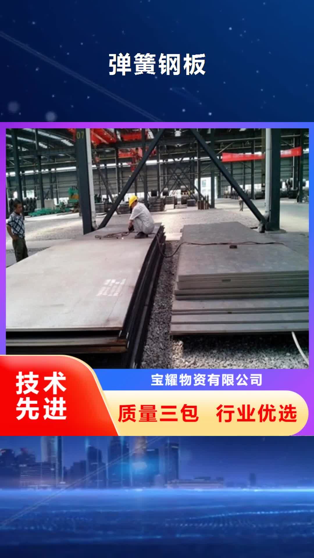 大庆 弹簧钢板服务至上