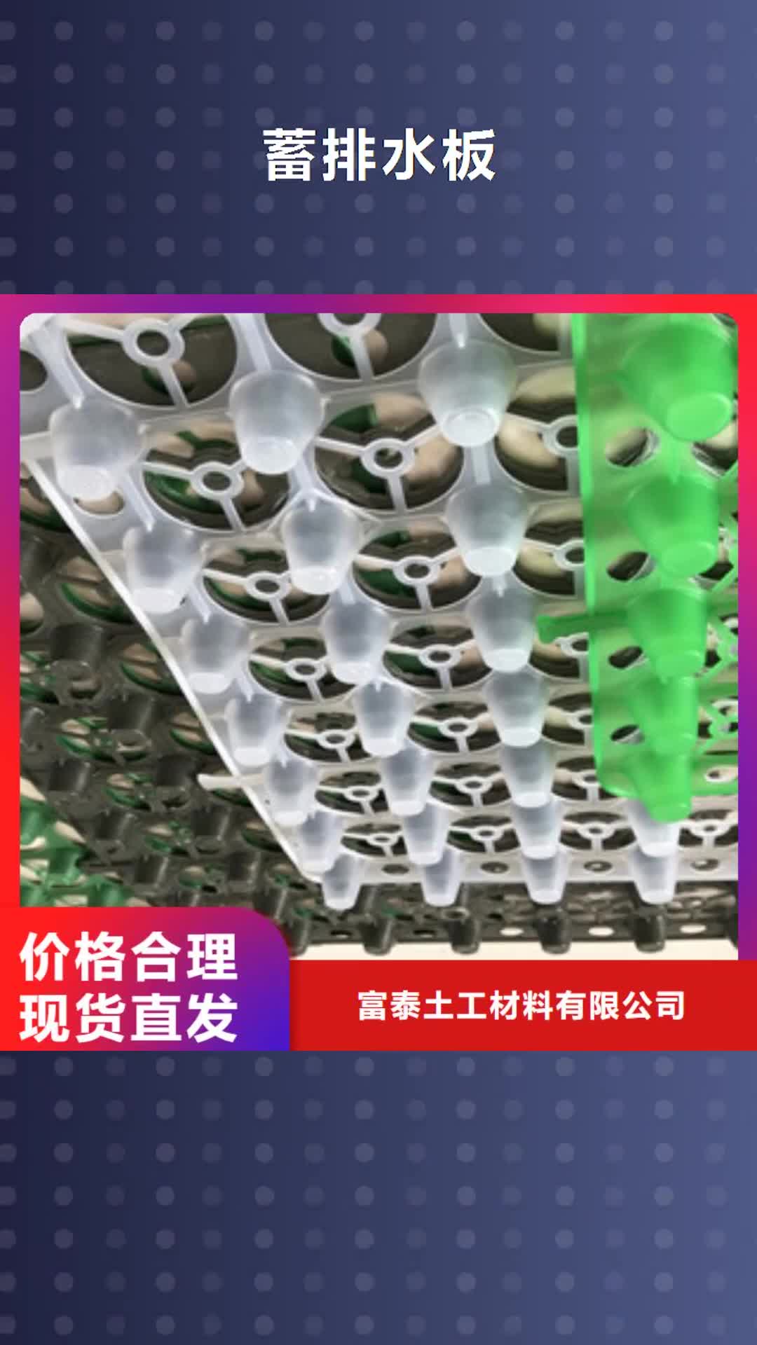通化 蓄排水板_【土工布厂家】服务至上